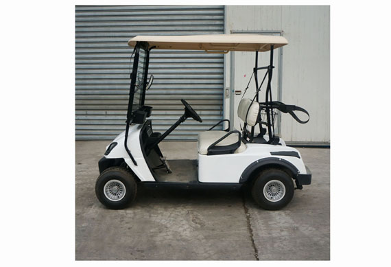 Electric Golf Car For Sale With 2 or 4 or 6 or 8 Seater Electric Golf Cart