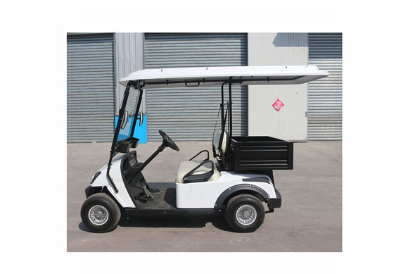 Electric Golf Car For Sale With 2 or 4 or 6 or 8 Seater Electric Golf Cart