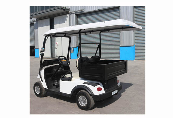 Electric Golf Car For Sale With 2 or 4 or 6 or 8 Seater Electric Golf Cart