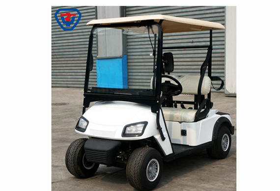 Electric Golf Car With 2 or 4 or 6 or 8 Seats Battery Powered 2 Seater Small Golf Cart In China