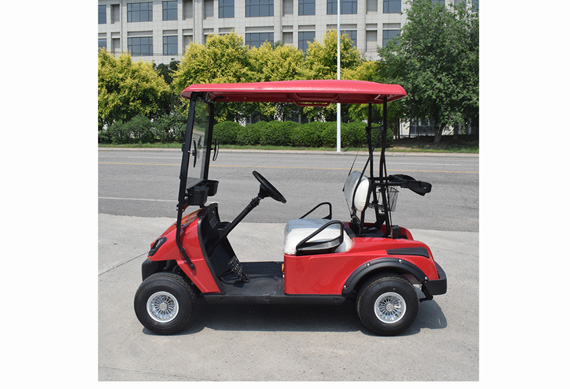 Electric Golf Car With 2 or 4 or 6 or 8 Seats Battery Powered 2 Seater Small Golf Cart In China