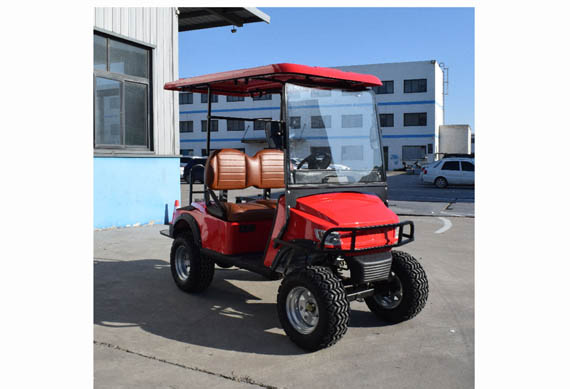 2 seater 2 passenger battery powered golf cart for sale