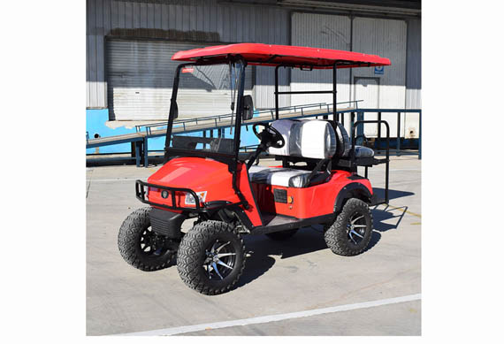 2 seater 2 passenger battery powered golf cart for sale