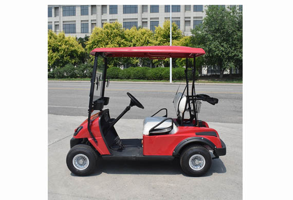 2 seater 2 passenger battery powered golf cart for sale
