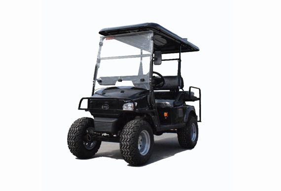 China electric golf cart factory