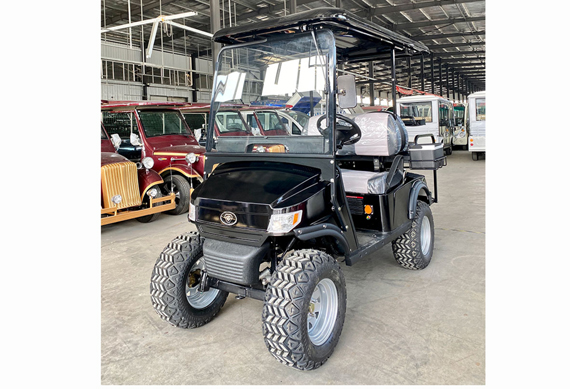 CE approved China made 2 seat battery powered electric aluminum golf cart and Controller