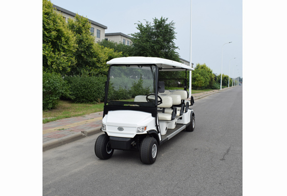 Chinese ZYCAR brand 8 seater luxury electric golf cart 48V 4KW