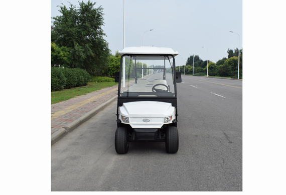 Chinese ZYCAR brand 8 seater luxury electric golf cart 48V 4KW