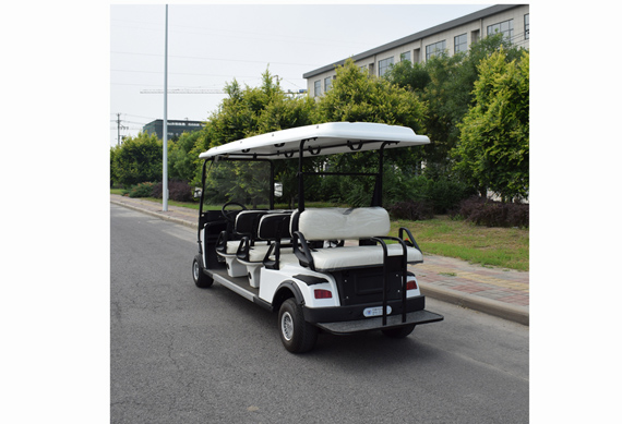 Chinese ZYCAR brand 8 seater luxury electric golf cart 48V 4KW