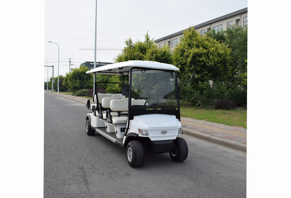 Chinese ZYCAR brand 8 seater luxury electric golf cart 48V 4KW