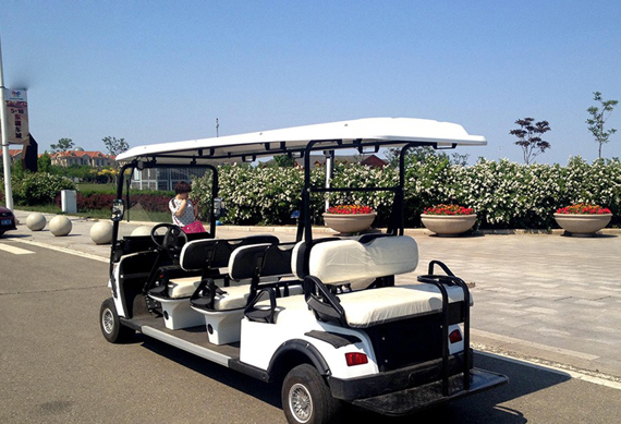 8 Seater Electric Golf Cart with High Quality