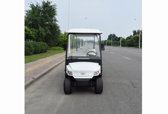 8 Seater Electric Vehicle For Tourist with customized color