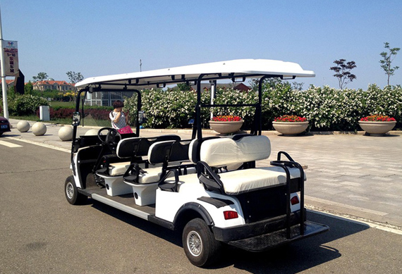 8 passenger off road buggy made in China