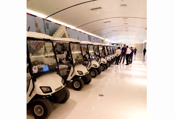 Luxury 8 passenger electric golf cart