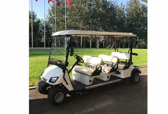 Luxury 8 passenger electric golf cart