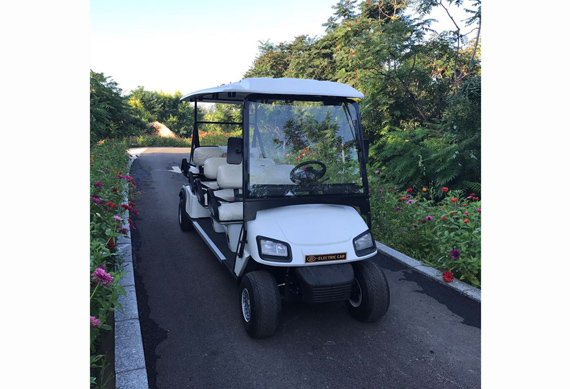 Luxury 8 passenger electric golf cart