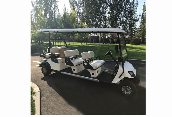 Luxury 8 passenger electric golf cart