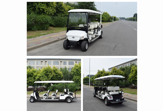 Zhongyi brand 8 seats luxury multifunction golf cart with radio