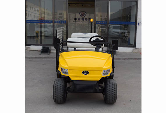 Electric Wheelchair accessible car