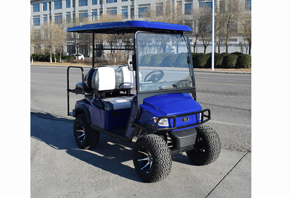 Custom Lifted electric golf buggy