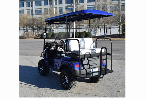 Custom Lifted electric golf buggy