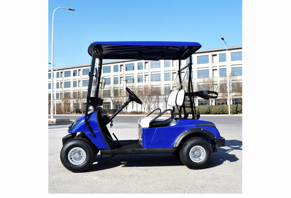 Single Seater Electric Golf Cart with Ce Approved