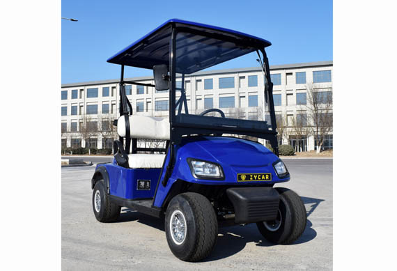 Single Seater Electric Golf Cart with Ce Approved