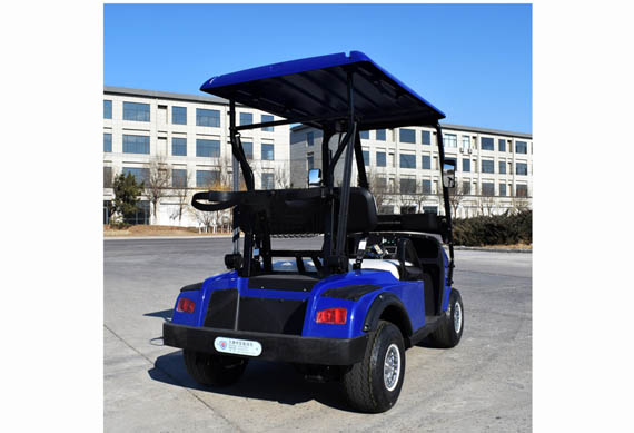 Single Seater Electric Golf Cart with Ce Approved