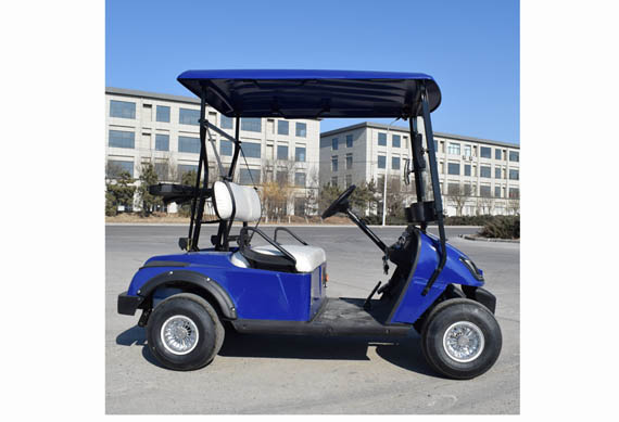 Single Seater Electric Golf Cart with Ce Approved