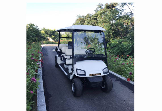 2 4 6 8 seater ISO certificated electric golf buggy with low price