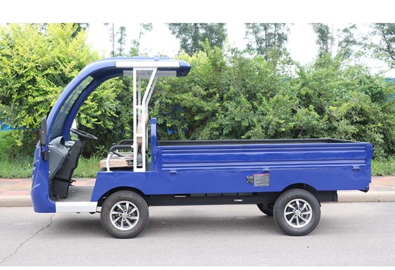 Mini electric pickup truck for sale