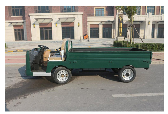 2 Seater Pickup Truck Mini Electric Pickup Truck