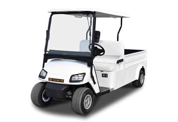 Customized Curtis controller cargo golf car for kitchen or restaurant