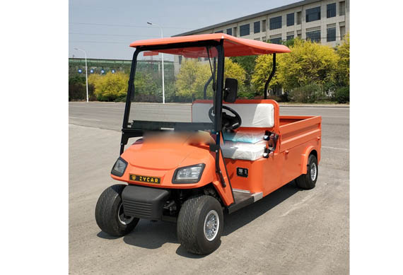 Customized Curtis controller cargo golf car for kitchen or restaurant