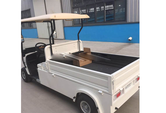 Customized Curtis controller cargo golf car for kitchen or restaurant