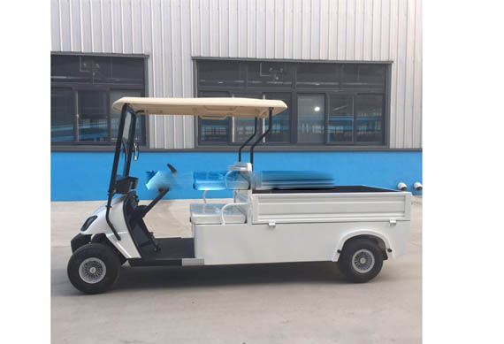 Customized Curtis controller cargo golf car for kitchen or restaurant