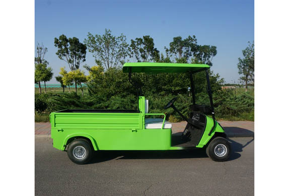 Customized Curtis controller cargo golf car for kitchen or restaurant