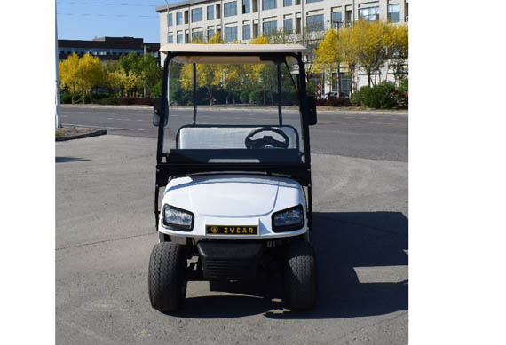 Customized Curtis controller cargo golf car for kitchen or restaurant Made of aluminum, never rust