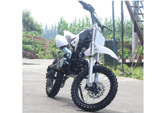 Lifan 110CC Pit Dirt Bikes Automatic With Tire 14"/12