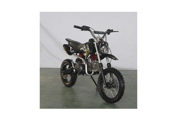 Cheap nice design monster dirt bike