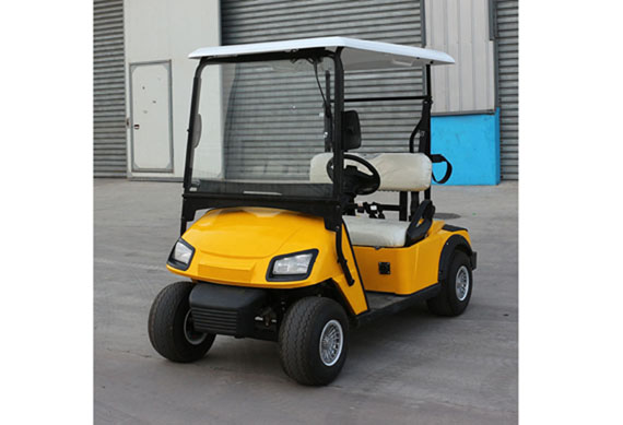 2-seater electric golf cart with Storage battery