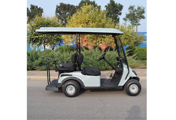 2-seater electric golf cart with Storage battery