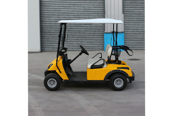 2-seater electric golf cart with Storage battery