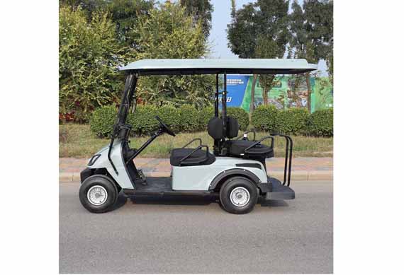 electric 2 seater golf carts factory price Used in tourist attractions in the hotel airport manor villa area