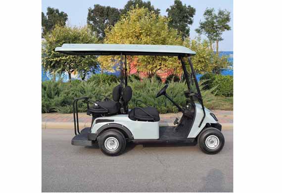 electric 2 seater golf carts factory price Used in tourist attractions in the hotel airport manor villa area