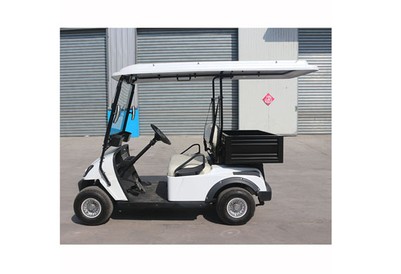 electric 2 seater golf carts factory price Used in tourist attractions in the hotel airport manor villa area