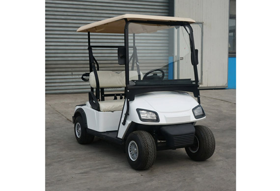 2 person electric car utility vehicle golf cart for sale