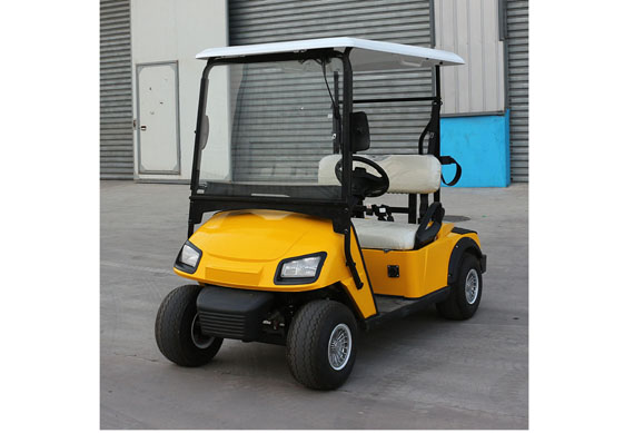 2 person electric car utility vehicle golf cart for sale