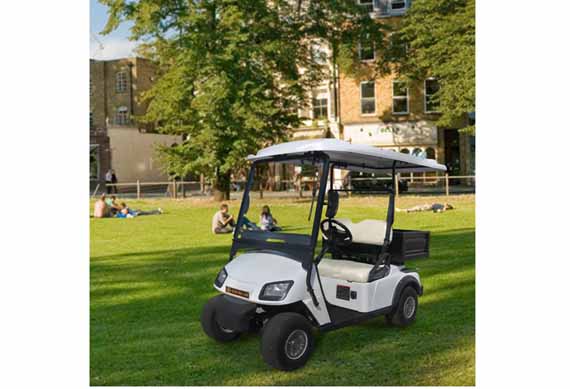 Mini smart electric 2 seater golf cart for sale with cargo box