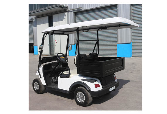 Mini smart electric 2 seater golf cart for sale with cargo box